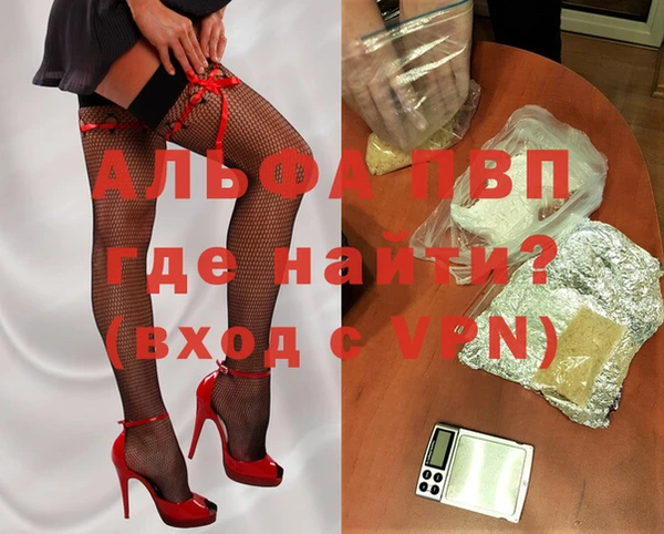 стафф Богородицк