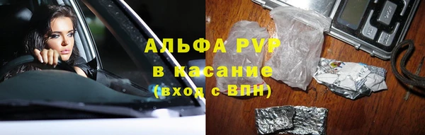 стафф Богородицк