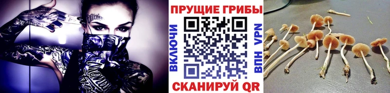 Галлюциногенные грибы Psilocybine cubensis  ОМГ ОМГ   Полтавская 